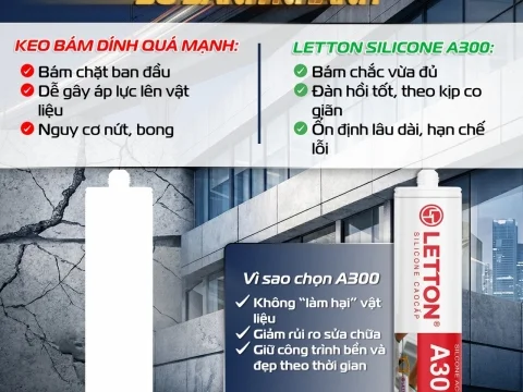 KEO BÁM QUÁ MẠNH KHÔNG PHẢI LÚC NÀO CŨNG TỐT
