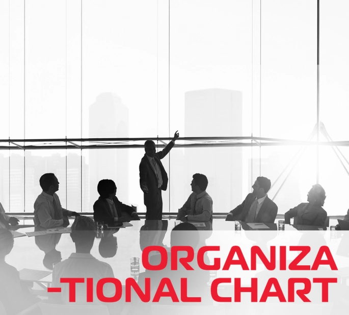 SƠ ĐỒ TỔ CHỨC