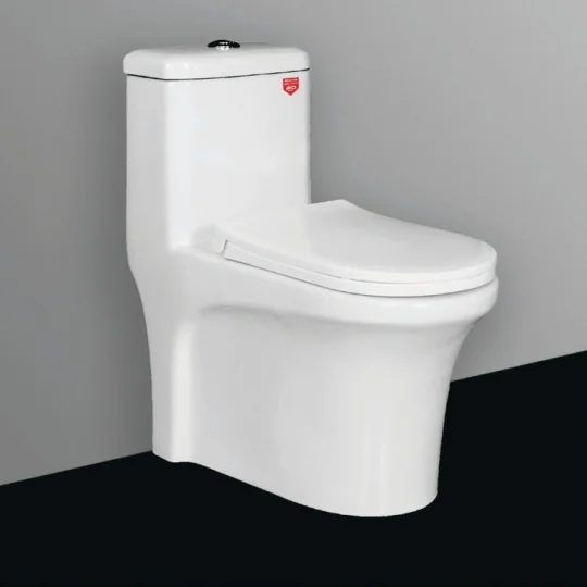  BÀN CẦU LETTON LT - 5008