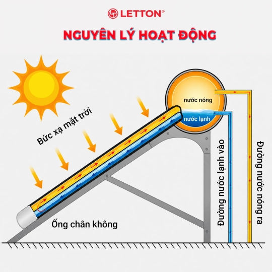 NLMT LETTON TẤM PHẲNG 